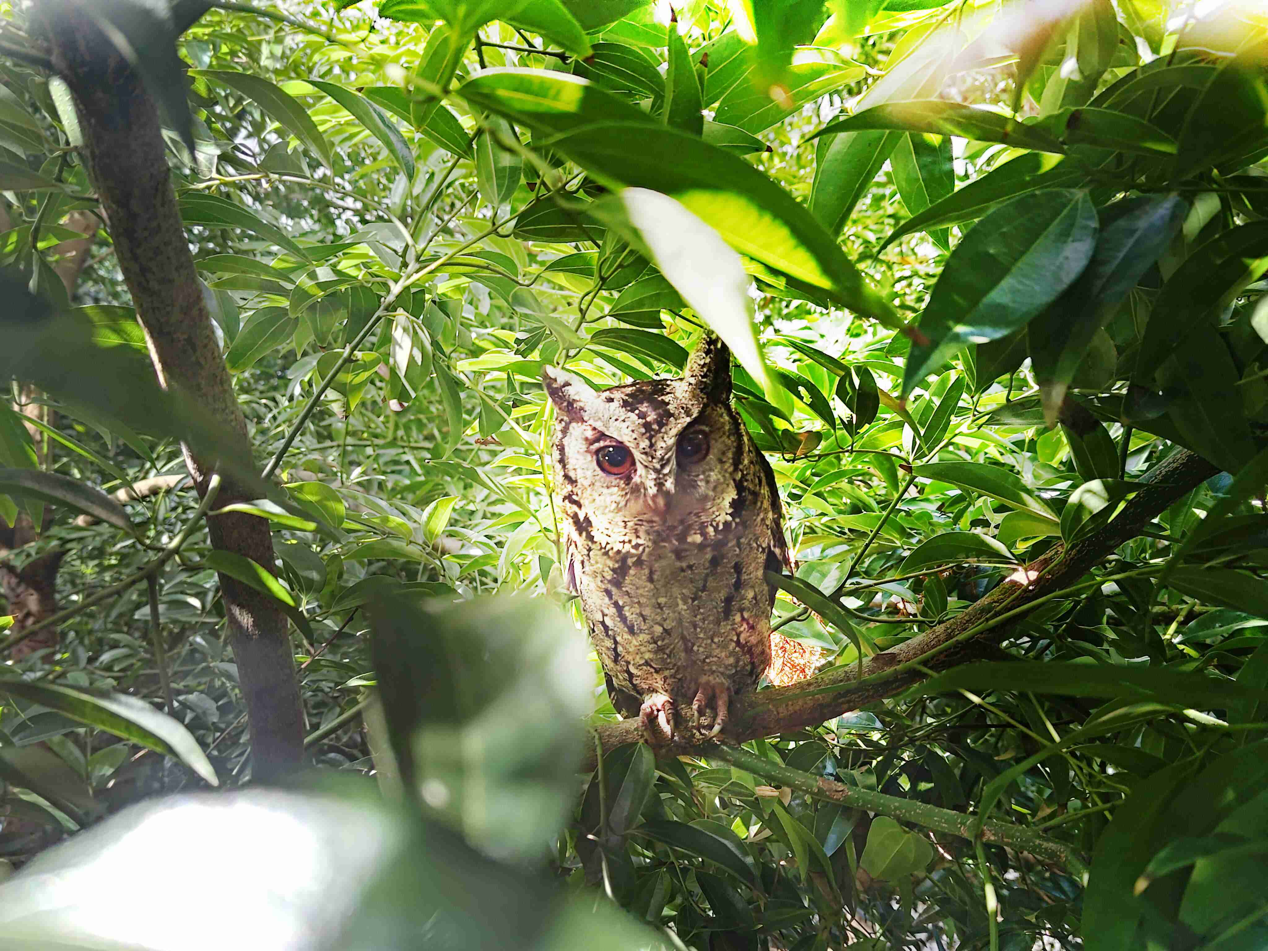 william威廉中文官网致力提倡净零绿生活，，，16年以来在全球各厂区植树逾百万棵，，造就各厂区树木蔚然成林，，，犹如森林工厂，，成为许多生物的栖息地